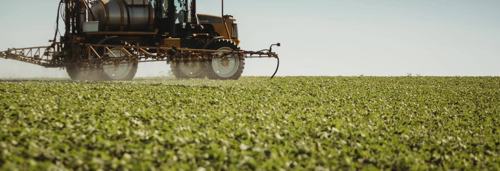 https://www.taranis.com/wp-content/uploads/2023/01/2022-soybean-diseases.png