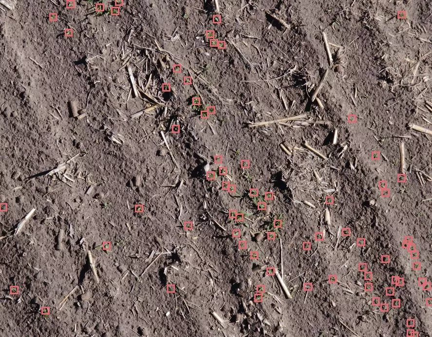 https://www.taranis.com/wp-content/uploads/2023/01/sugarbeet-weeds-early-ne-scottsbluff.jpg