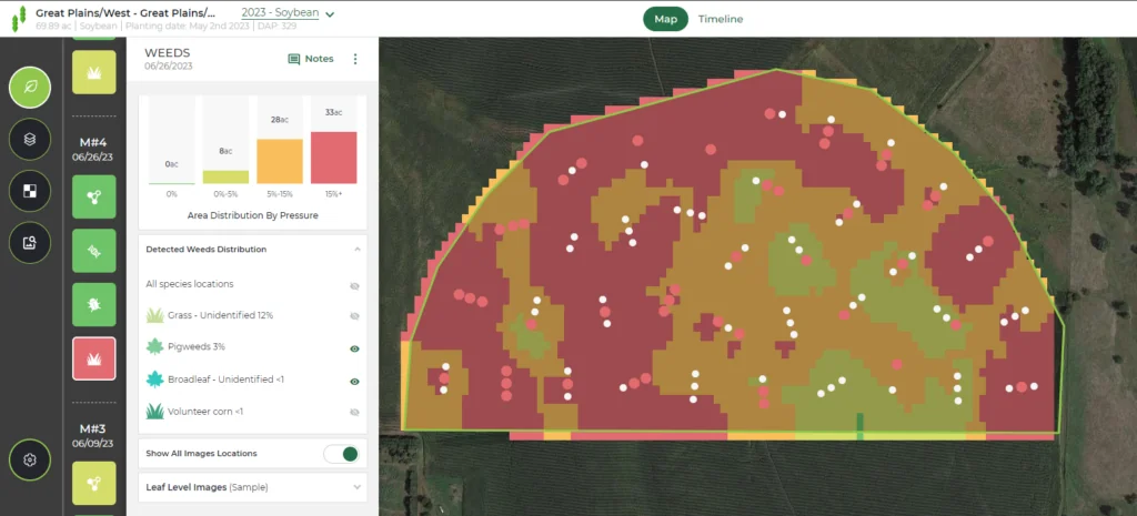 weed severity in soybeans