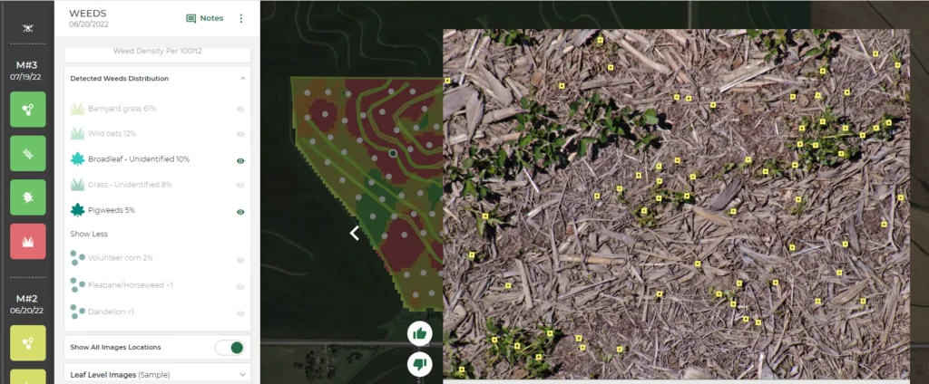 Broadleaf and pigweed distribution