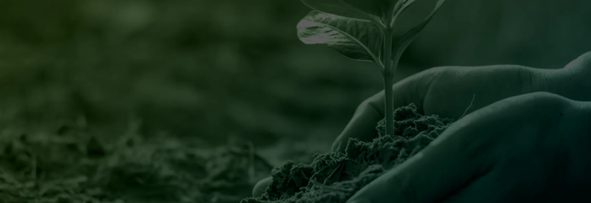 https://www.taranis.com/wp-content/uploads/2024/04/conservation.png