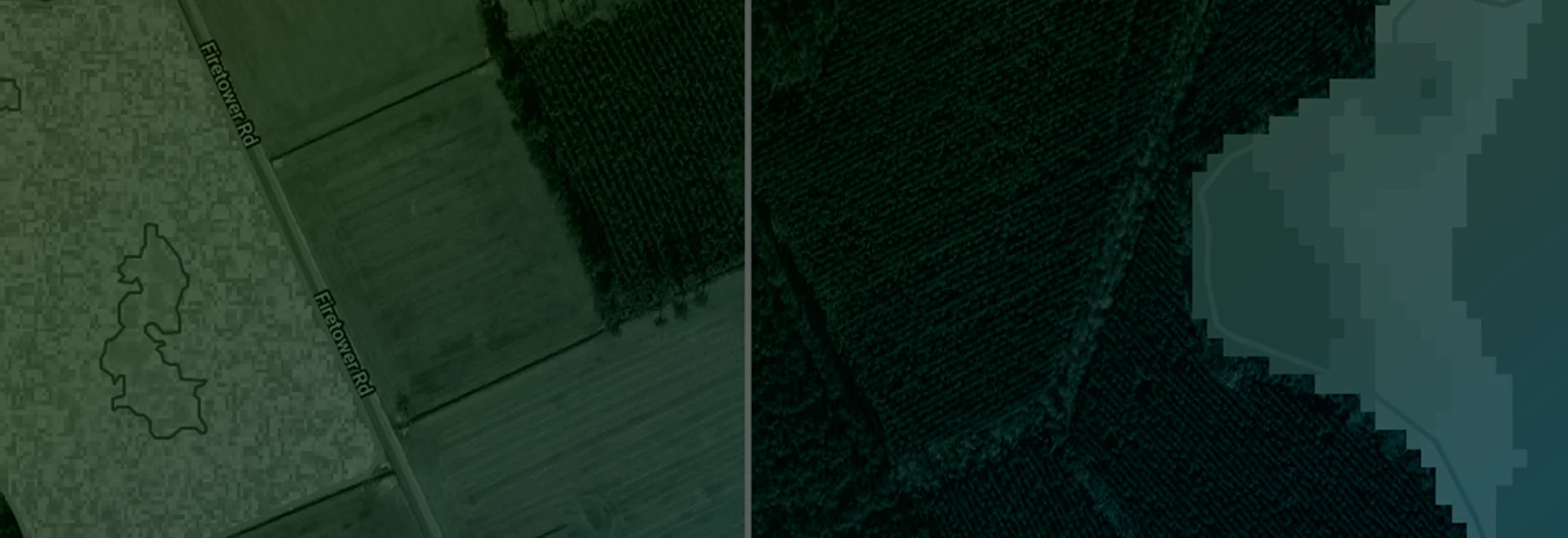 https://www.taranis.com/wp-content/uploads/2024/08/crop-stand-header.png