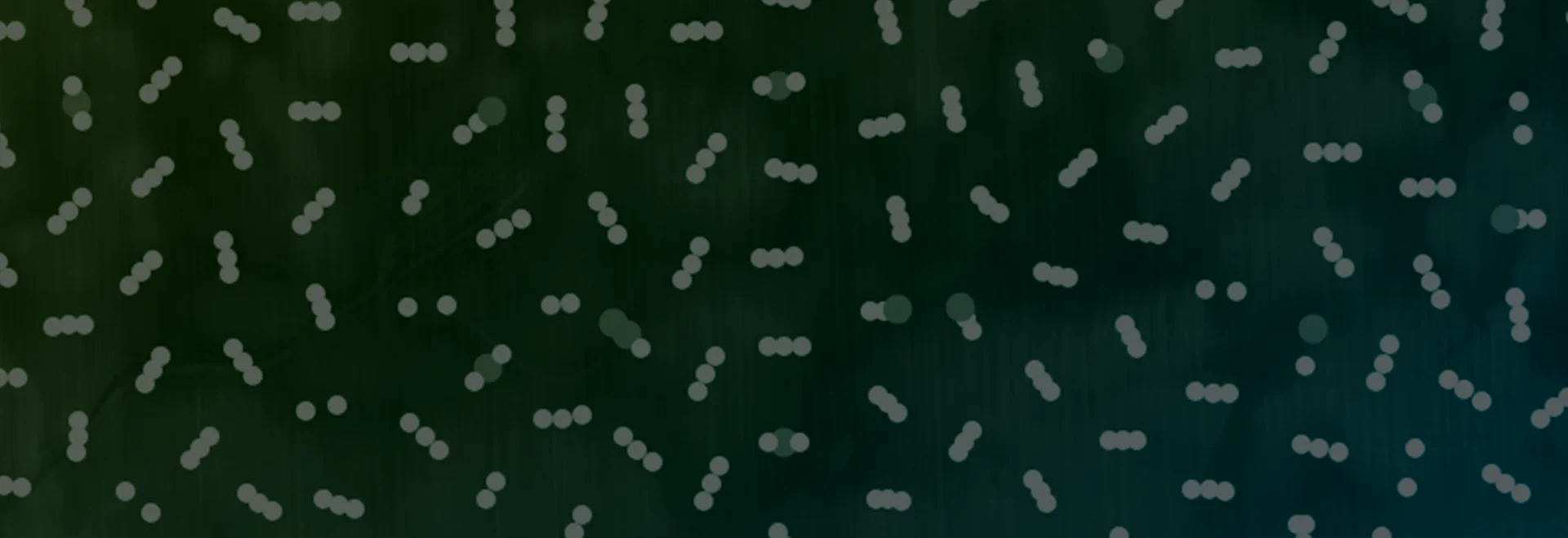 https://www.taranis.com/wp-content/uploads/2024/08/fall-armyworm-header.png
