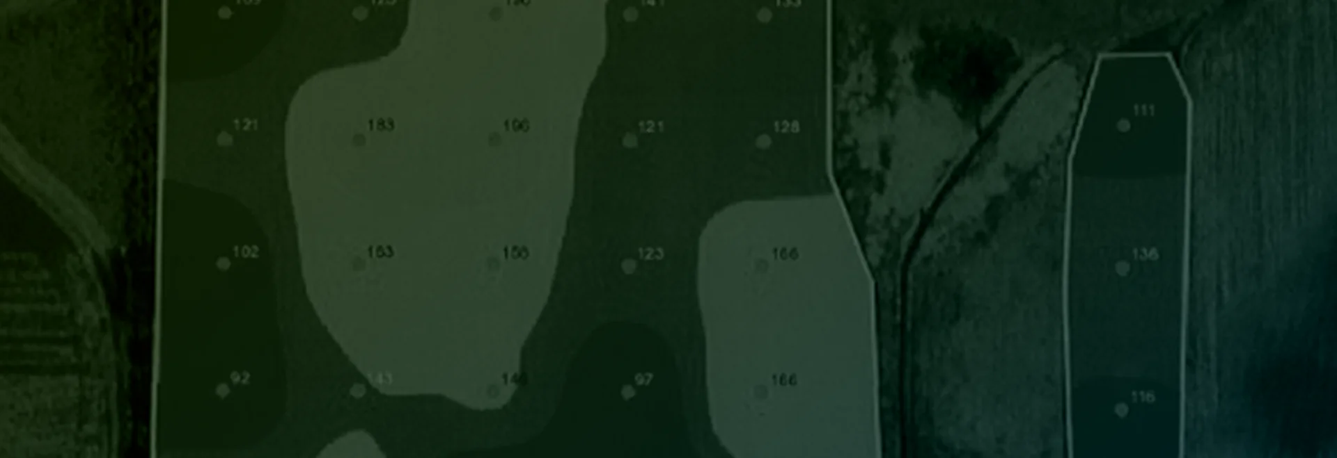 https://www.taranis.com/wp-content/uploads/2024/08/potassium-deficiency-header.png