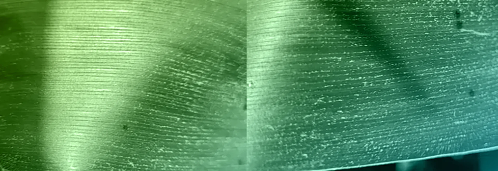 https://www.taranis.com/wp-content/uploads/2024/08/tar-spot-header.png