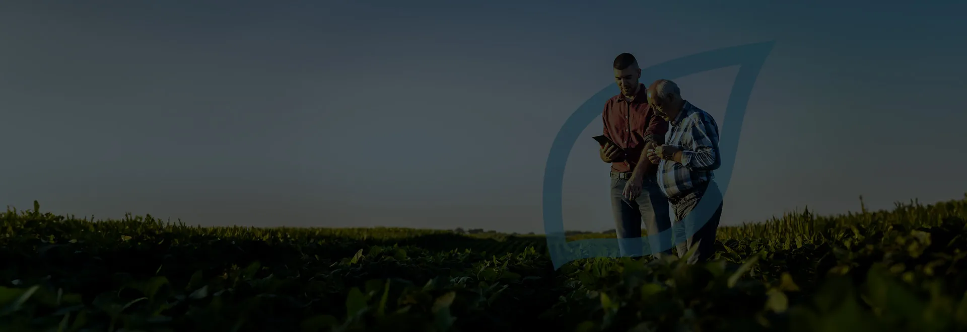 https://www.taranis.com/wp-content/uploads/2024/10/pr_syngenta_header.jpg
