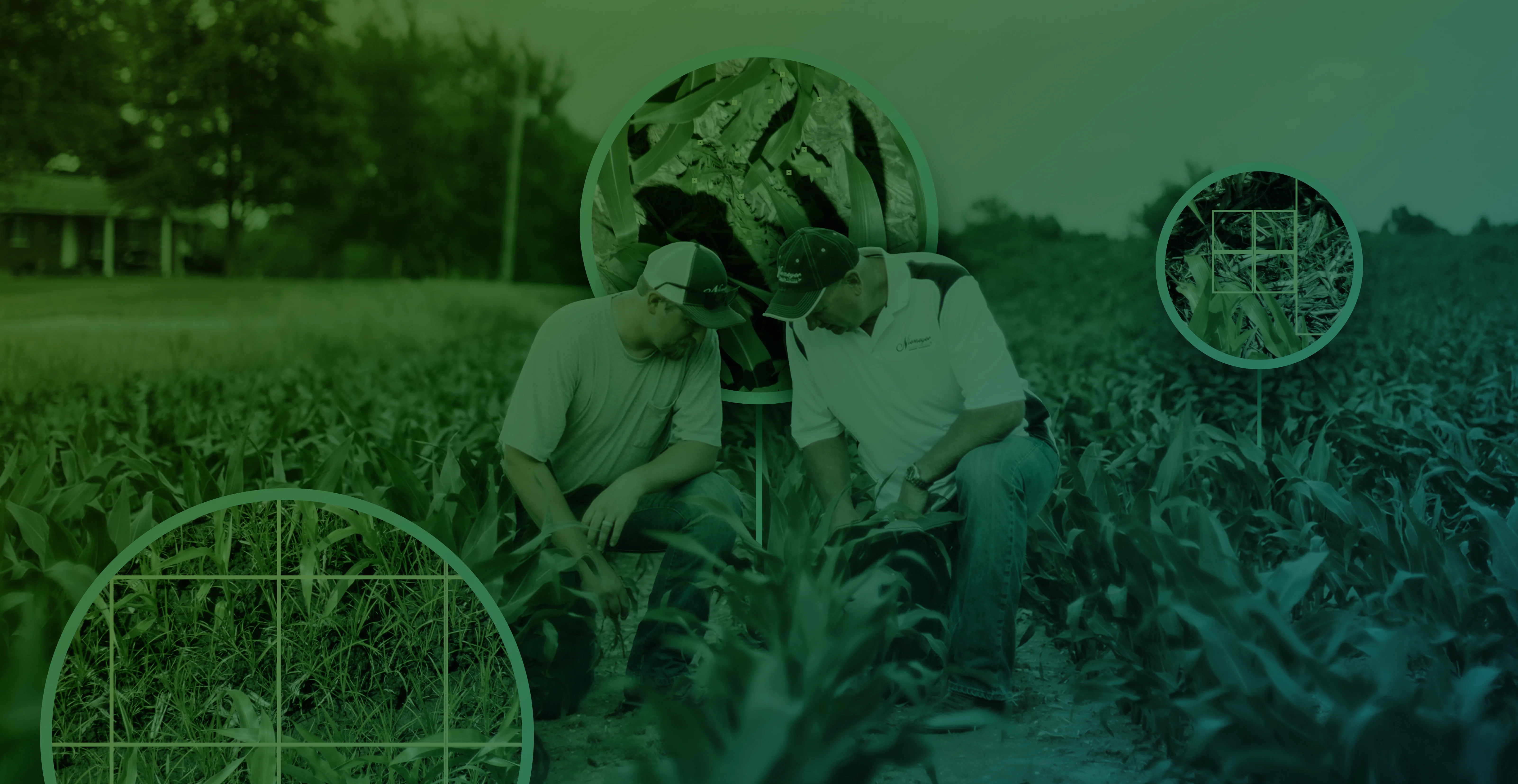 https://www.taranis.com/wp-content/uploads/2025/04/precision-ag-without-connectivity_blog-header-1.png