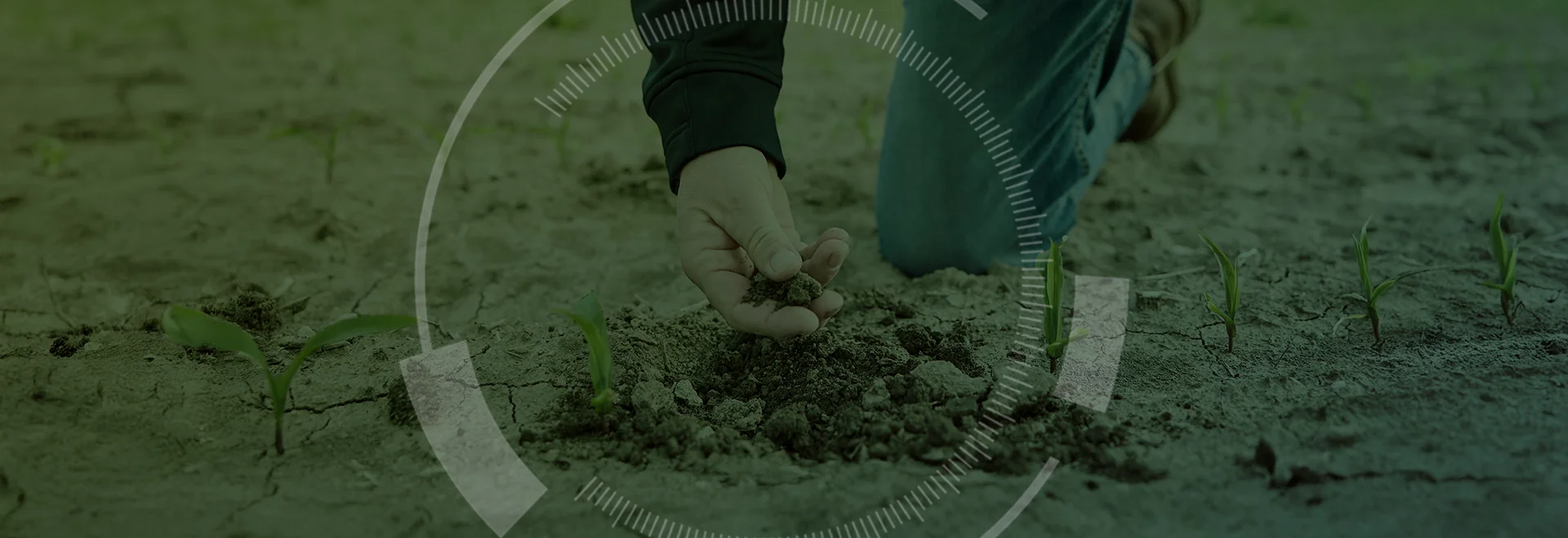 https://www.taranis.com/wp-content/uploads/2025/06/blog-header-pivot-bio.png