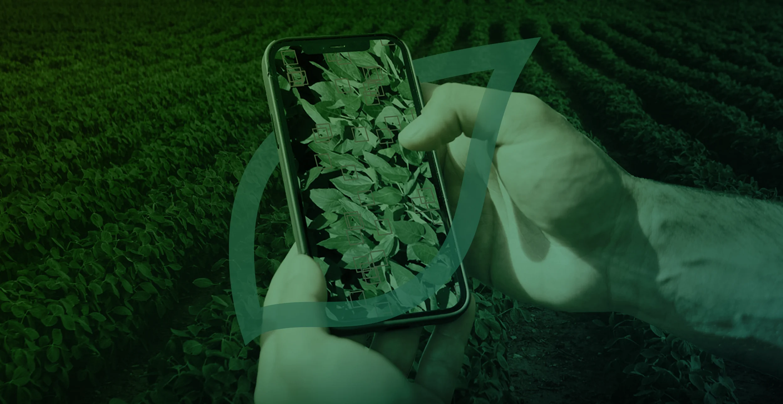 https://www.taranis.com/wp-content/uploads/2025/10/syngenta-2025-blog-header.png